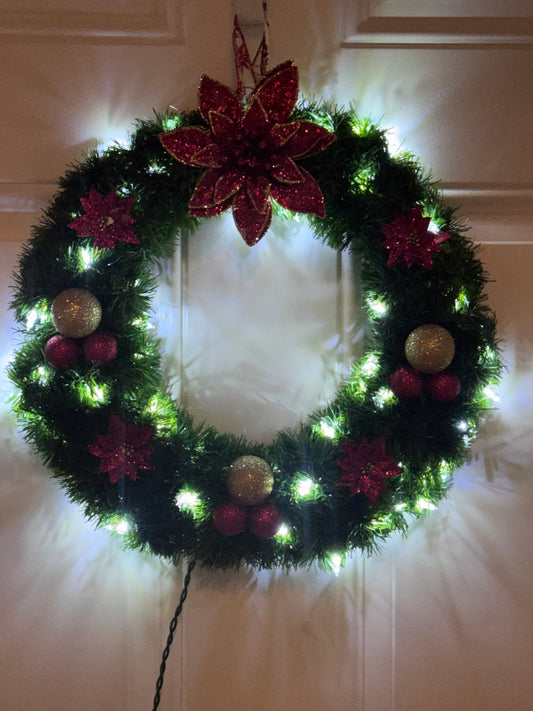 Poinsettia Prance